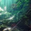 Adventure Fantasy Pack Backgrounds - WildForest 02 by K Storm Studio Marketplace