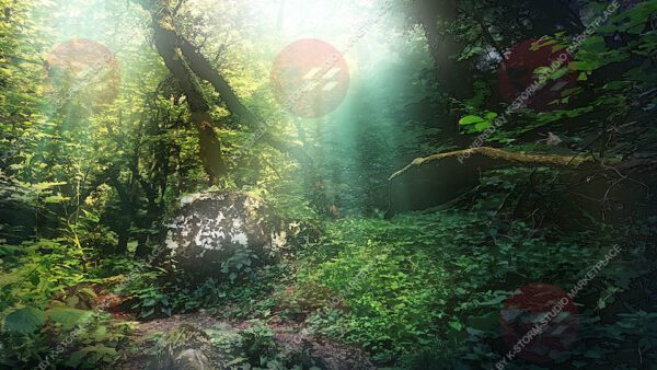 Adventure Fantasy Pack Backgrounds - WildForest 04 by K Storm Studio Marketplace